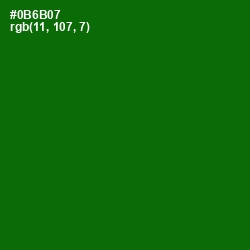 #0B6B07 - Japanese Laurel Color Image