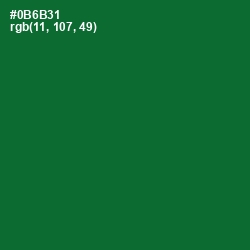 #0B6B31 - Fun Green Color Image