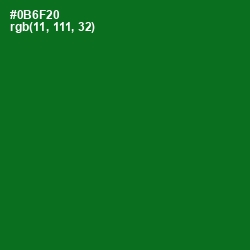 #0B6F20 - Fun Green Color Image