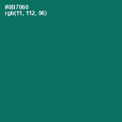 #0B7060 - Pine Green Color Image