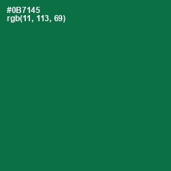 #0B7145 - Salem Color Image