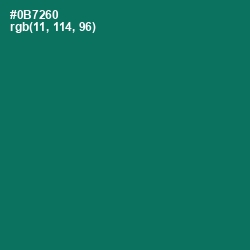 #0B7260 - Pine Green Color Image