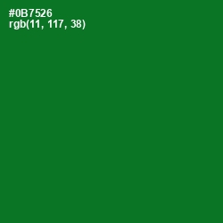 #0B7526 - Fun Green Color Image