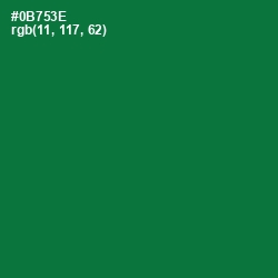 #0B753E - Fun Green Color Image