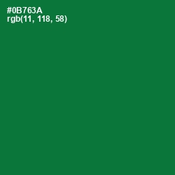 #0B763A - Fun Green Color Image