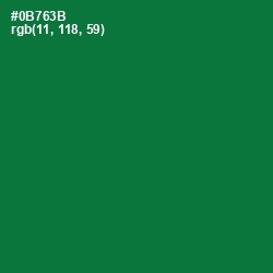 #0B763B - Fun Green Color Image
