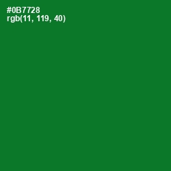 #0B7728 - Fun Green Color Image