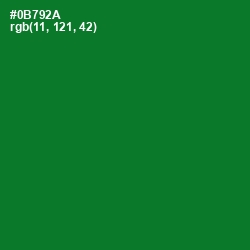 #0B792A - Fun Green Color Image