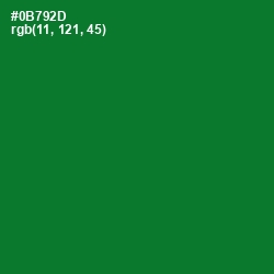 #0B792D - Fun Green Color Image