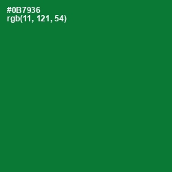 #0B7936 - Fun Green Color Image