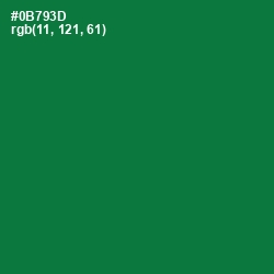 #0B793D - Fun Green Color Image