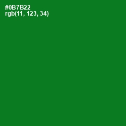 #0B7B22 - Fun Green Color Image