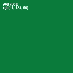 #0B7B3B - Fun Green Color Image