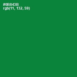 #0B843B - Forest Green Color Image