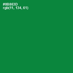 #0B863D - Forest Green Color Image