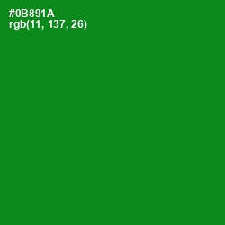 #0B891A - Forest Green Color Image