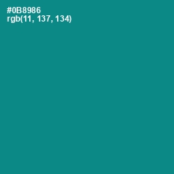 #0B8986 - Teal Color Image