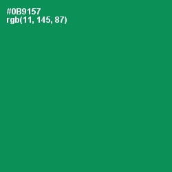 #0B9157 - Green Haze Color Image