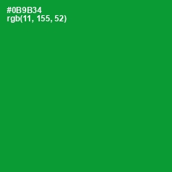#0B9B34 - Forest Green Color Image