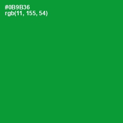 #0B9B36 - Forest Green Color Image