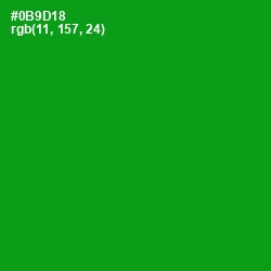 #0B9D18 - Forest Green Color Image