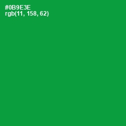 #0B9E3E - Forest Green Color Image