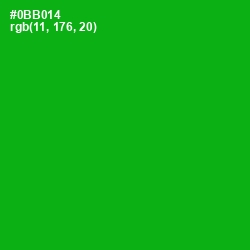 #0BB014 - Forest Green Color Image