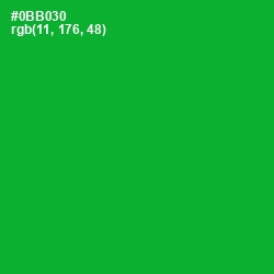 #0BB030 - Forest Green Color Image