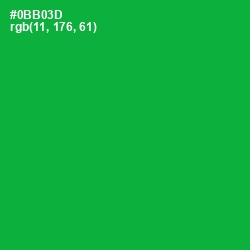 #0BB03D - Forest Green Color Image