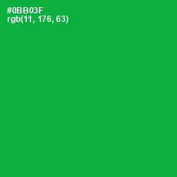 #0BB03F - Forest Green Color Image