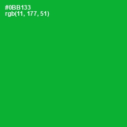 #0BB133 - Forest Green Color Image