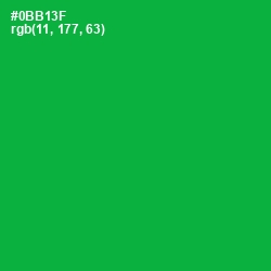 #0BB13F - Forest Green Color Image