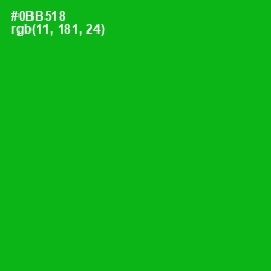 #0BB518 - Forest Green Color Image