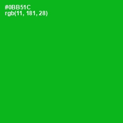 #0BB51C - Forest Green Color Image