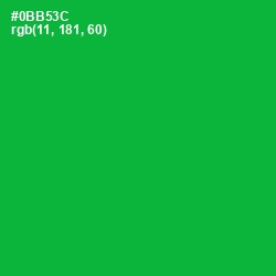 #0BB53C - Forest Green Color Image