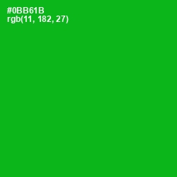 #0BB61B - Forest Green Color Image