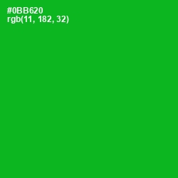 #0BB620 - Forest Green Color Image