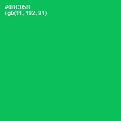 #0BC05B - Malachite Color Image