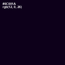 #0C001A - Black Russian Color Image