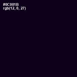 #0C001B - Black Russian Color Image