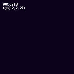 #0C021B - Black Russian Color Image