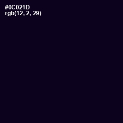 #0C021D - Black Russian Color Image