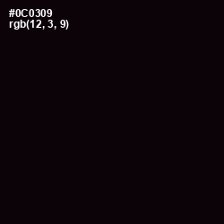 #0C0309 - Cod Gray Color Image