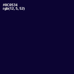 #0C0534 - Black Rock Color Image