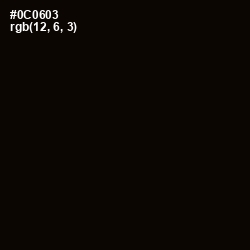 #0C0603 - Cod Gray Color Image