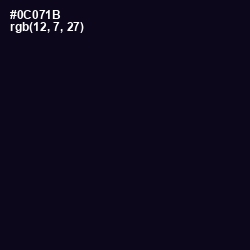 #0C071B - Black Russian Color Image