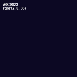 #0C0823 - Black Pearl Color Image