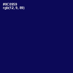 #0C0959 - Gulf Blue Color Image