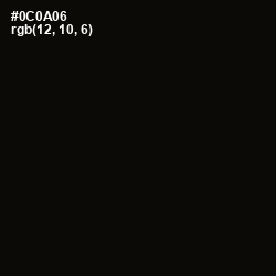 #0C0A06 - Cod Gray Color Image