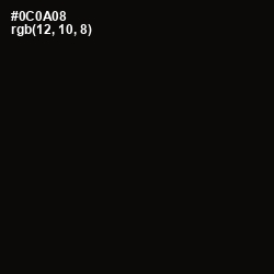 #0C0A08 - Cod Gray Color Image